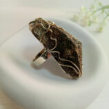IMG_20250221_113639_078