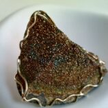 IMG_20250221_113806_844