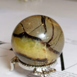 IMG_20250301_112548_396