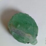 IMG_20250301_120720_883