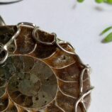 IMG_20250307_114256_097