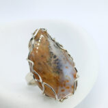 IMG_20251210_122137_184