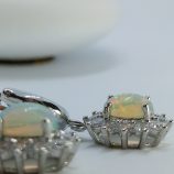 IMG_20260304_131246_348