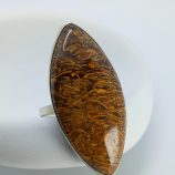 IMG_20260304_161030_299