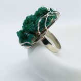 IMG_20260304_161132_579