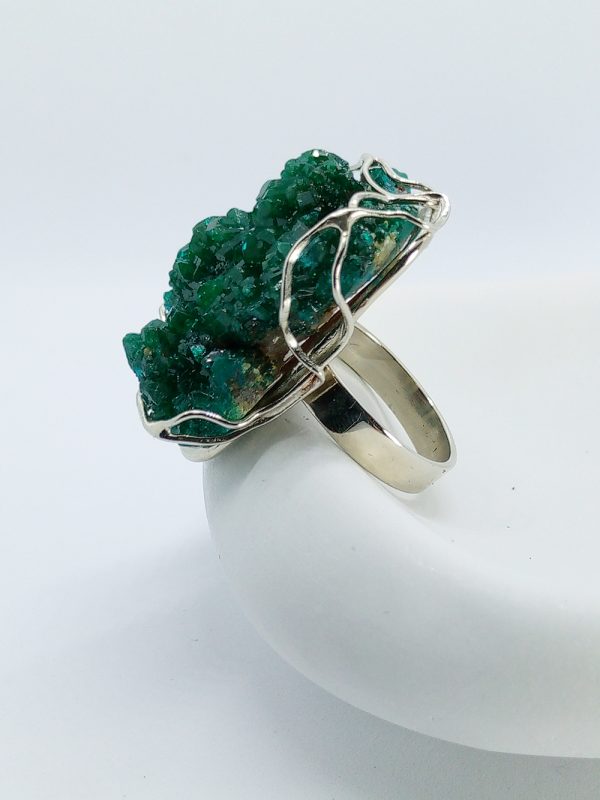 IMG_20260304_161132_579 IMG_20260304_161132_579