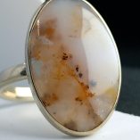 IMG_20260304_163235_239